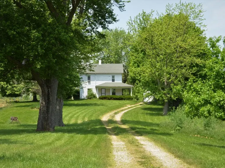 Une maison au bout d'un chemin de terre bordé d'arbres